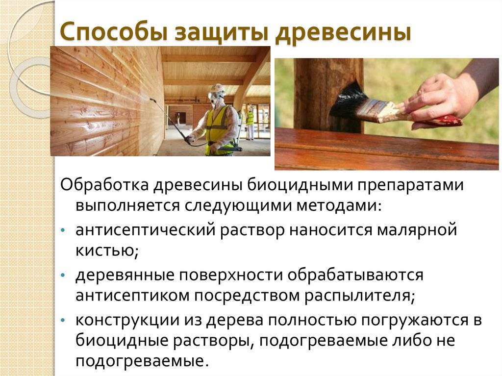 Обработка древесины антисептиком: способы и особенности