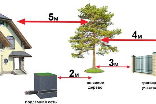 Расстояние от забора до деревьев соседа: сколько отступать по закону и нормам