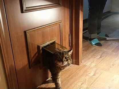 Как сделать вход для кошки в двери? - папа карло