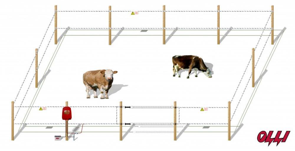 Электропастух для коров: лучшие модели и правила использования