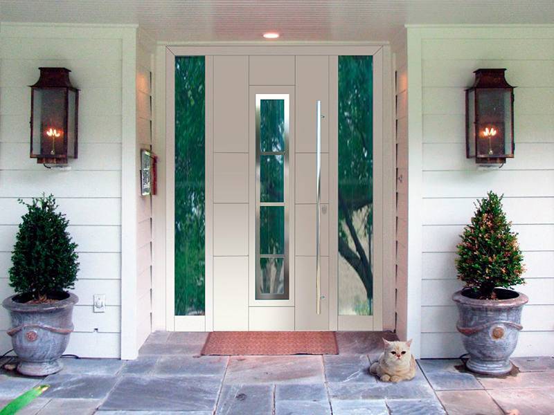 Пластиковая стеклянная дверь входная для частного дома: 100 фото лучших идей