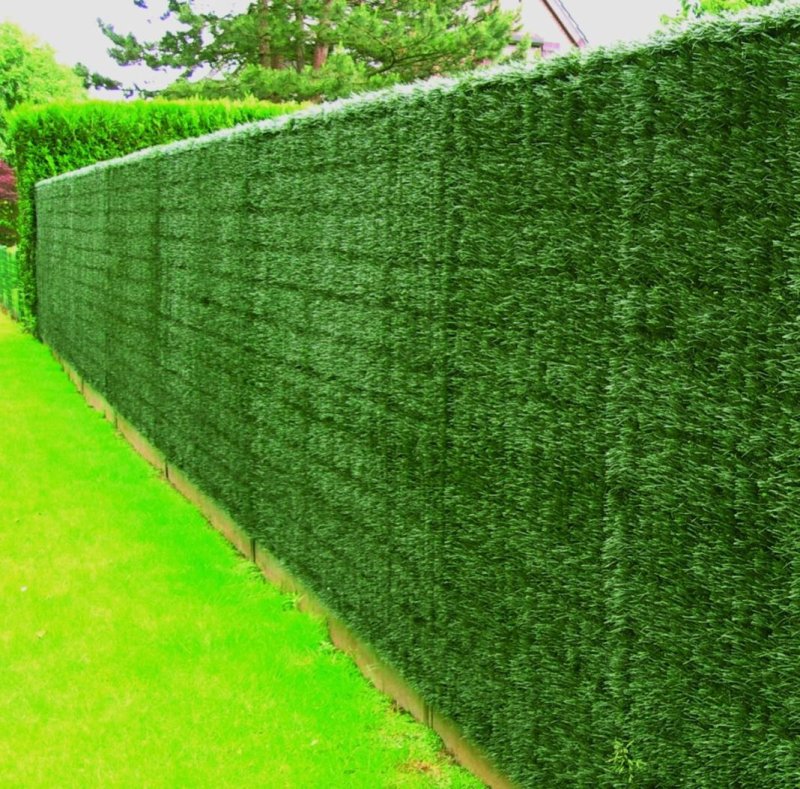 Живая изгородь — зеленый забор от чужих глаз!
