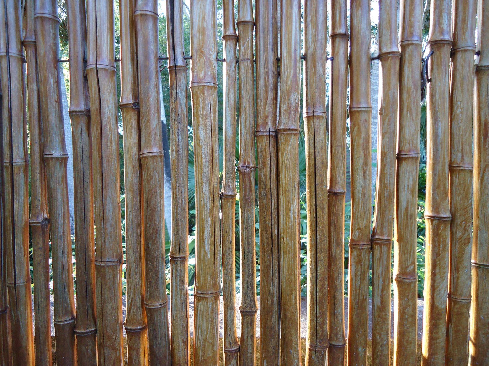 Забор из бамбука (рулонный) своими руками