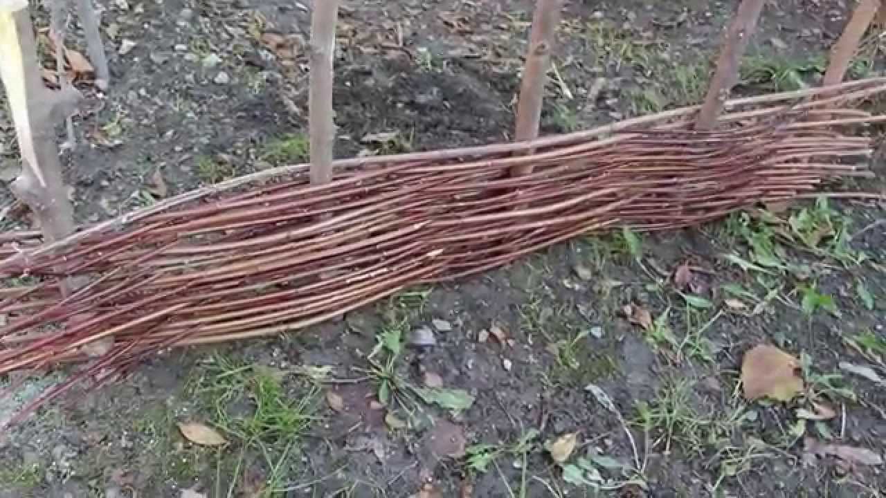 Забор из прутьев: как плести плетень из веток орешника