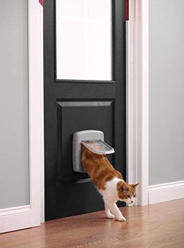 Дверца для кошки в дверь: виды, особенности выбора и как сделать своими руками