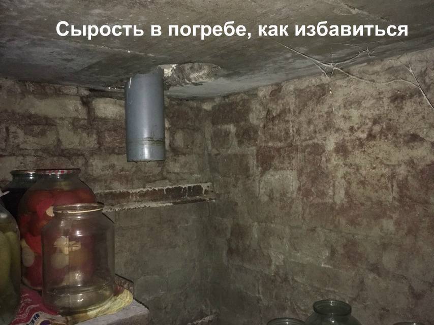 Как избавиться от сырости в гараже — sibear.ru