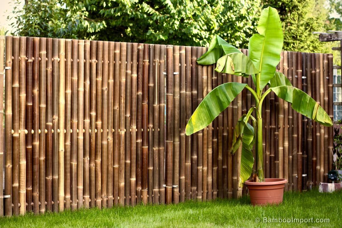 Забор из бамбука рулонный для дачи: фото, установка изгороди своими руками, видео