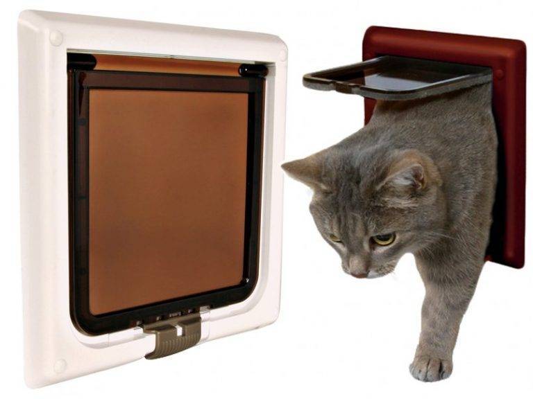 Дверь для кошки — проектирование, установка, рейтинг готовых моделей и цена современной двери для кошки (115 фото)