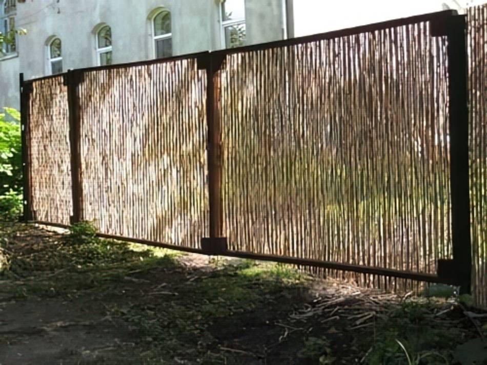 Чем закрыть забор из сетки рабицы от соседей: фото, как сделать непрозрачным низ ограждения, видео