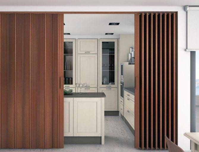 Раздвижные двери на кухню: дверь купе выдвижная между кухней и комнатой