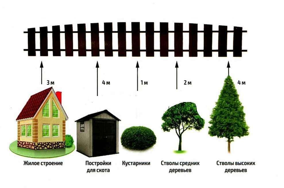 Расстояние от дерева до забора с соседом: на каком можно сажать, нормы посадки кустарников по снип и закону, сколько метров отступать по санпин