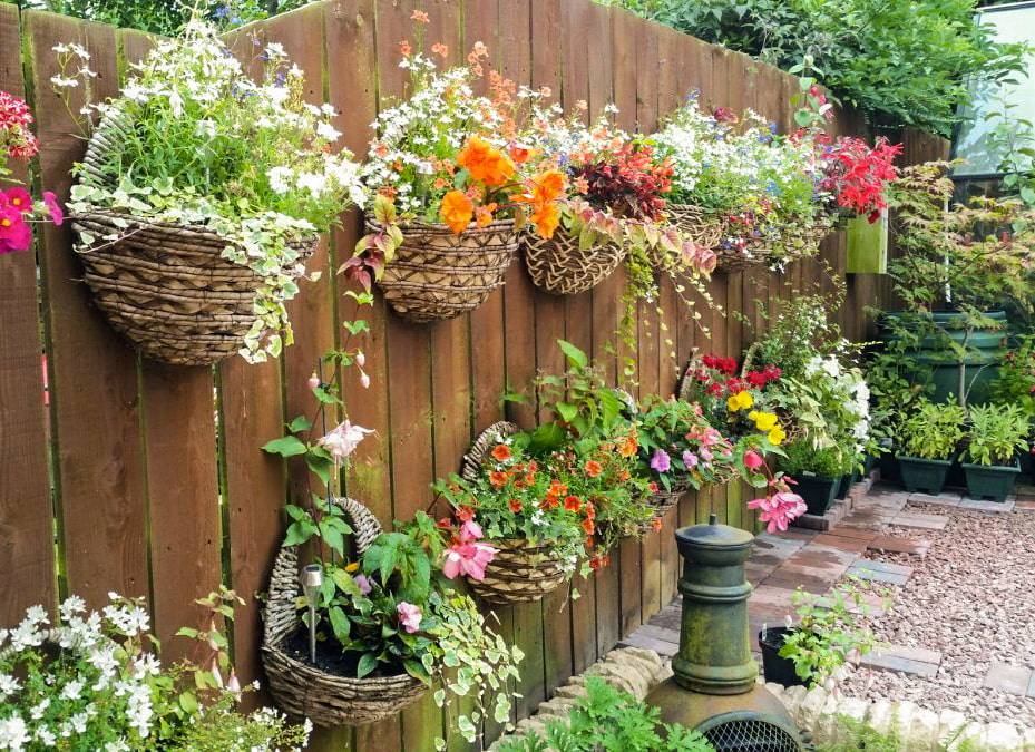 Как можно украсить забор цветами, растениями и не только — sdelayzabor.ru