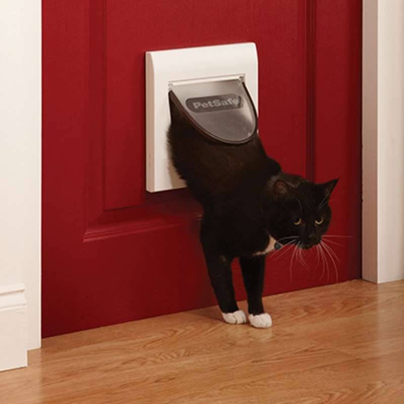 Двери, замки и безопасность.   что нужно знать про двери для кошек.