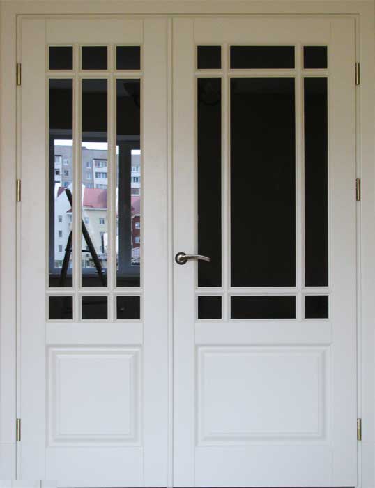 Разновидности дверей из металла, варианты изготовления со стеклом и стеклопакетом, особенности установки на входе