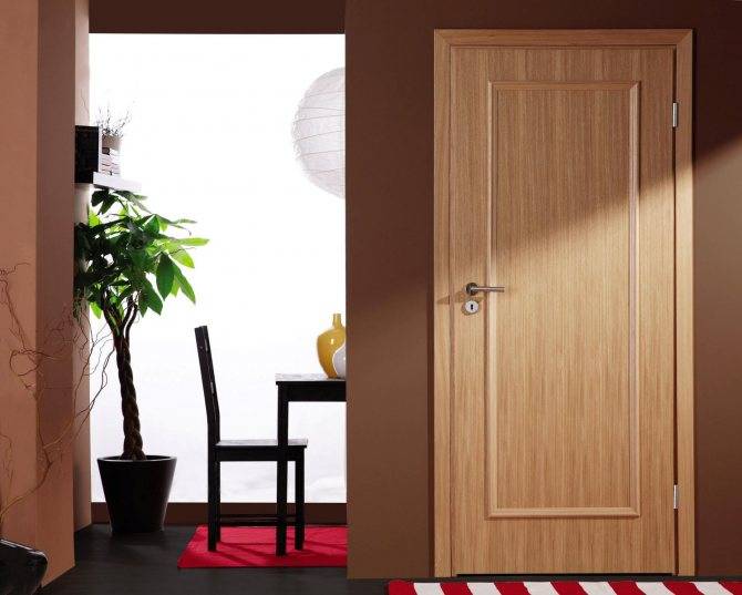 Как и какие межкомнатные двери лучше выбрать: шпон или ПВХ?