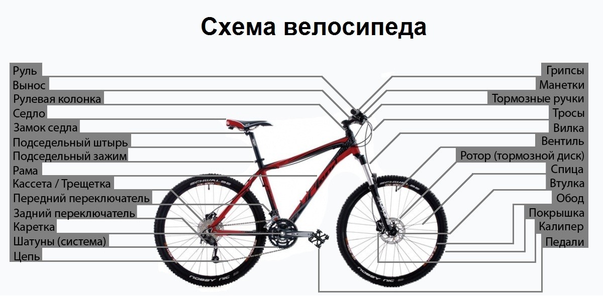 Сборка горного велосипеда. Скоростной велосипед стелс строение. Схема сборки велосипеда стелс. Схема велосипеда с названием деталей стелс. Схема сборки горного велосипеда.