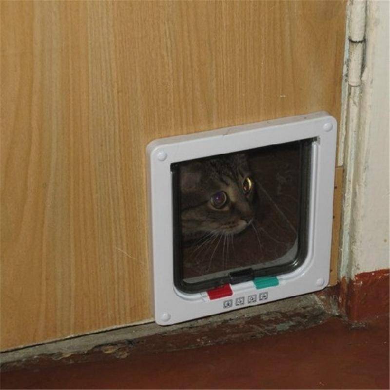Дверца для кошек в дверь — как сделать своими руками