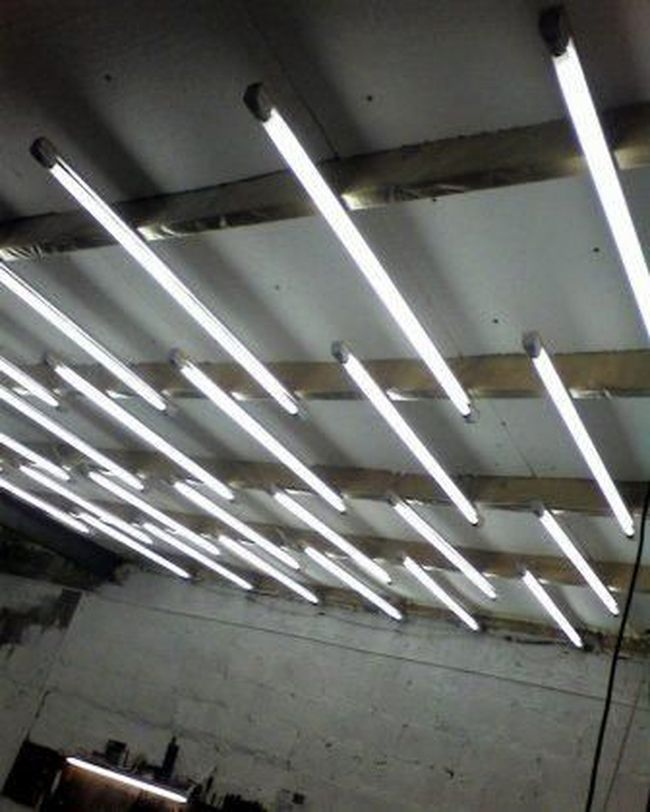 Освещение в гараже: варианты светильников и советы по подключению