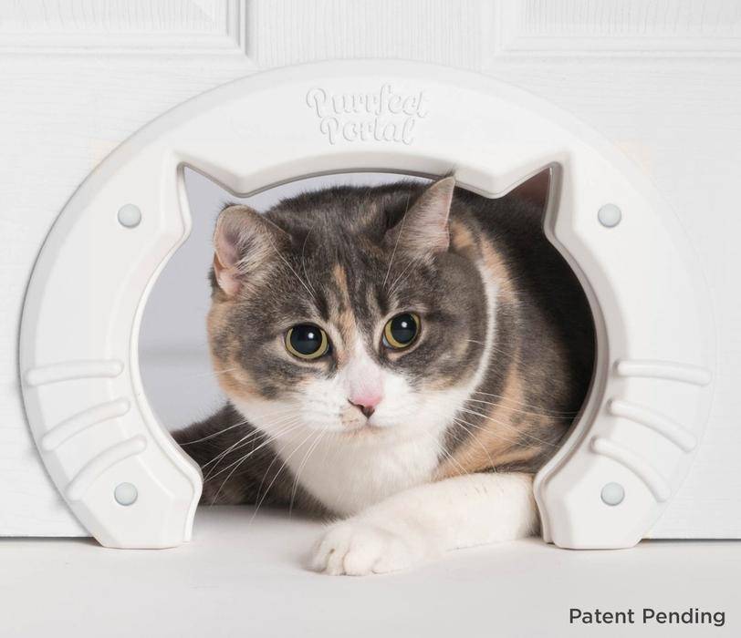 Монтаж дверки для кошек в дверь