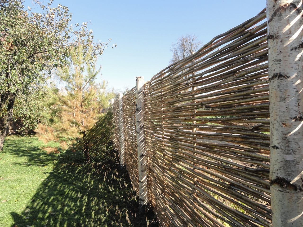 Забор - живой плетень из ивы: 3 варианта от сложного-дорогого до бесплатного-простого