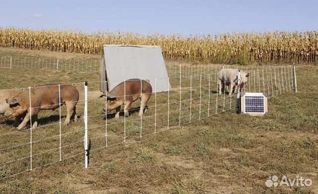 Электропастух для овец, коров и коз своими руками в домашних условиях