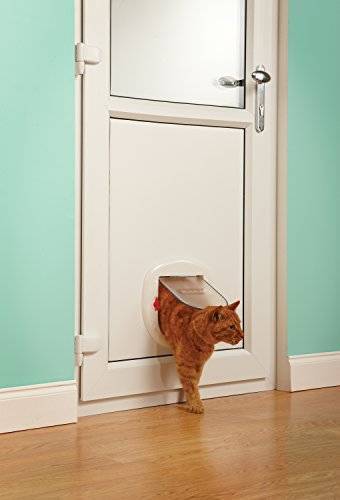 Дверца для кошки в туалет и другие комнаты: как сделать своими руками