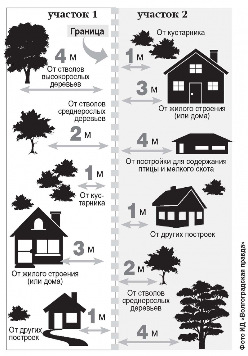 Расстояние от деревьев до забора соседа: снип на каком сажать и нормы посадки на участке по закону