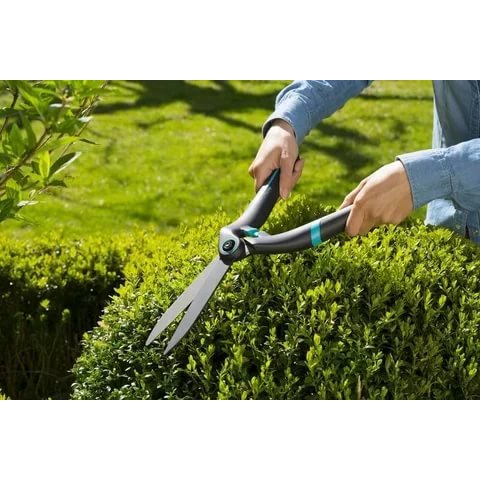 Садовые ножницы для стрижки кустарников и травы: какие лучше, нюансы использования