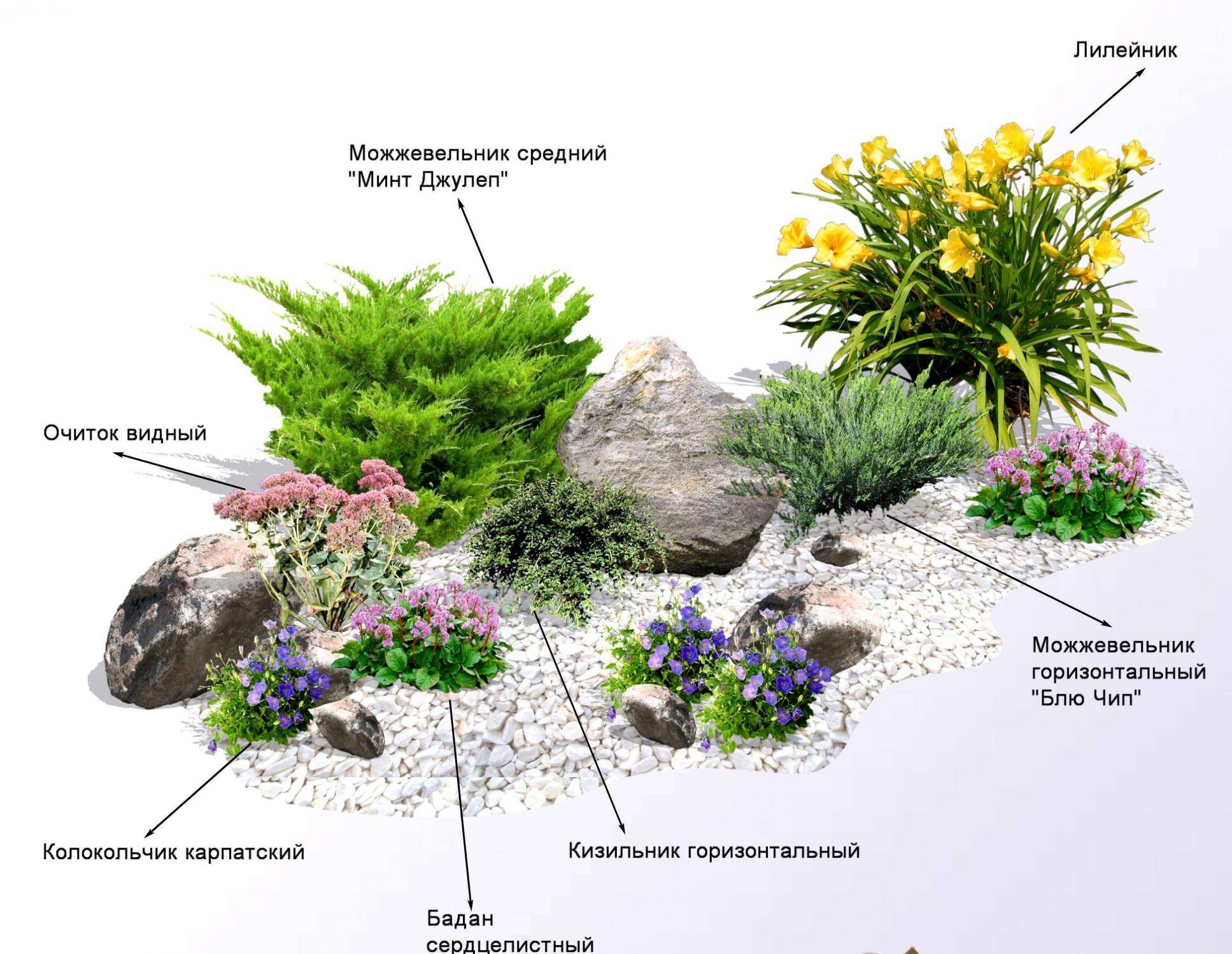 Миксбордер из кустарников и многолетников (41 фото): названия, готовые схемы, композиции своими руками, хвойные растения