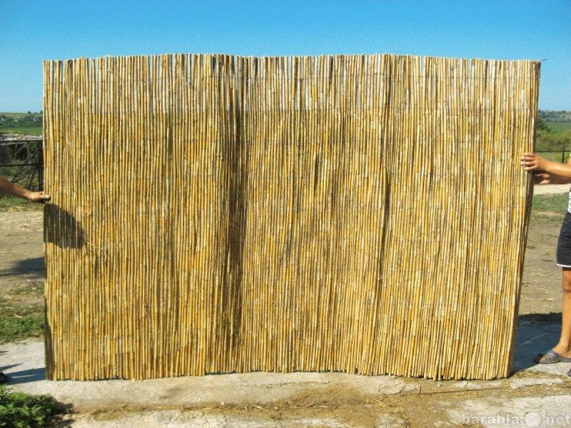Как на даче задекорировать забор из «рабицы» и не вызвать гнев соседей