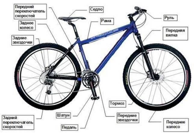Схема устройства велосипеда, обзор основных и дополнительных деталей