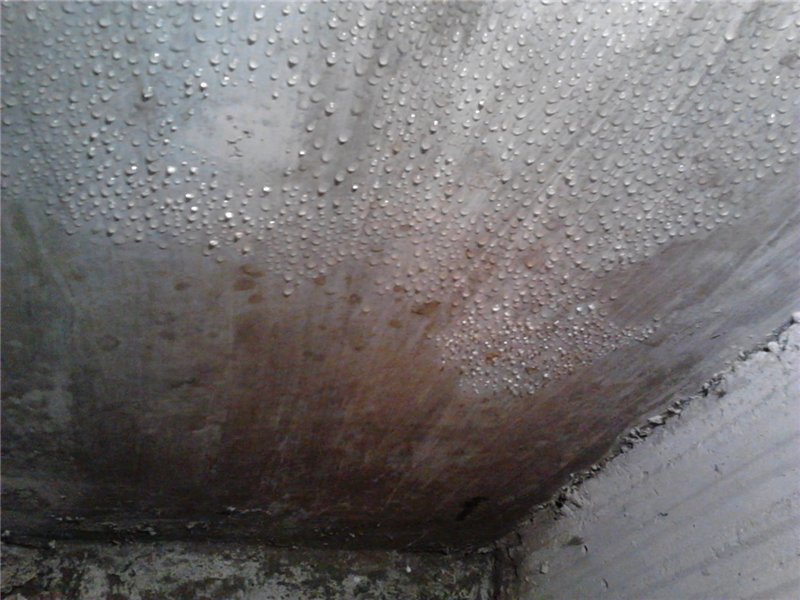 Почему в погребе мокрый потолок: причины появления и способы устранения конденсата