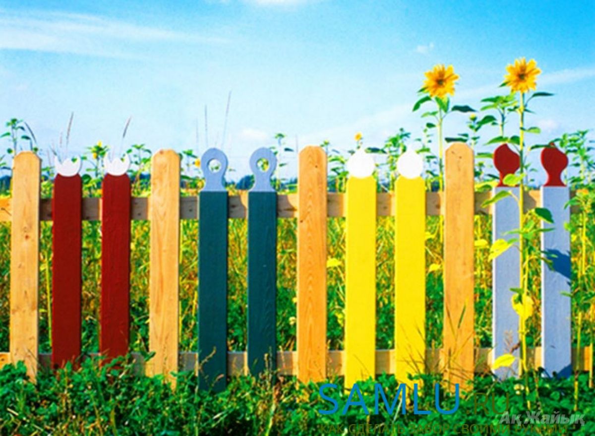 Живой забор: быстрорастущие живые изгороди и варианты применения в ландшафтном дизайне (130 фото)