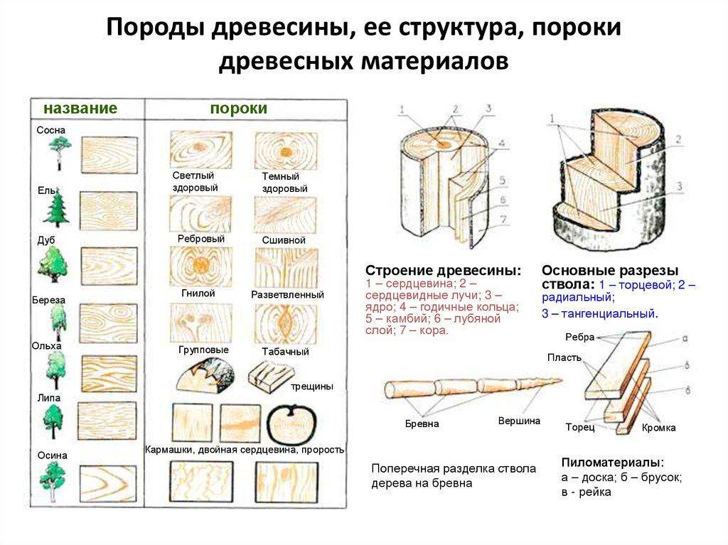 Инструкция древесины. Пороки древесины мешающие ее обработке. Пороки строения древесины пилопродукции. Пороки строения древесины таблица. Пороки древесины дефекты обработки.