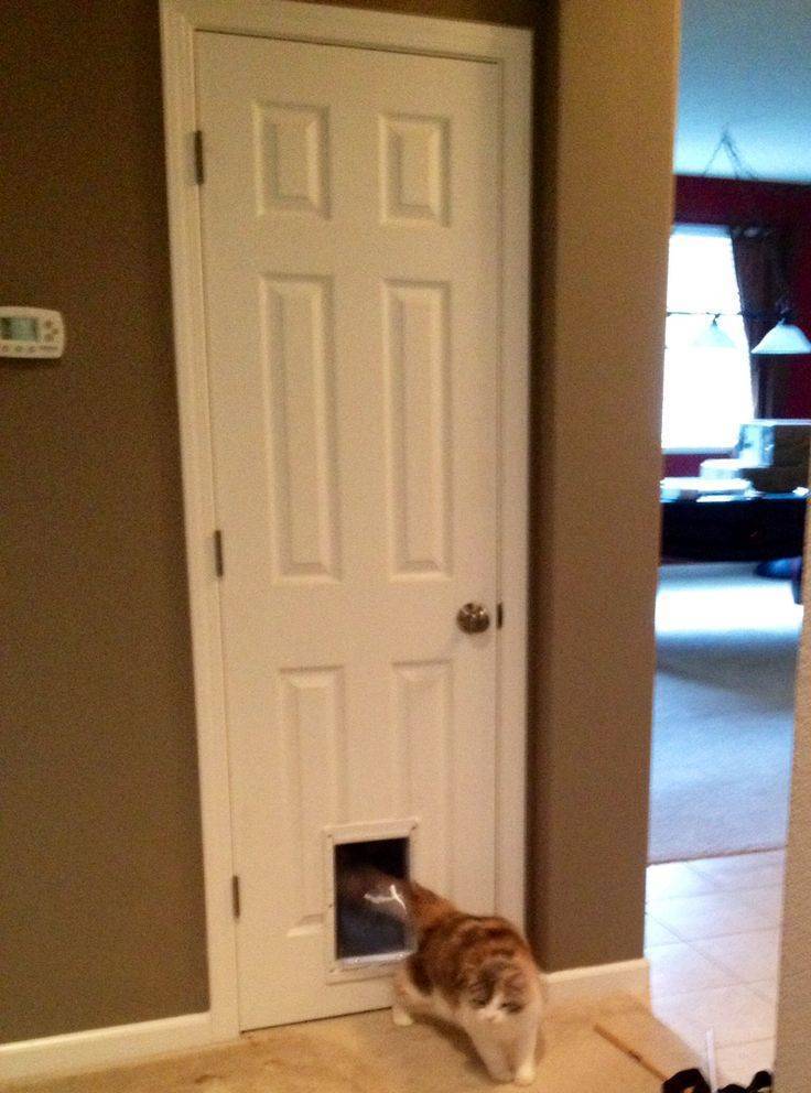 Лаз в двери для кошки, как сделать?