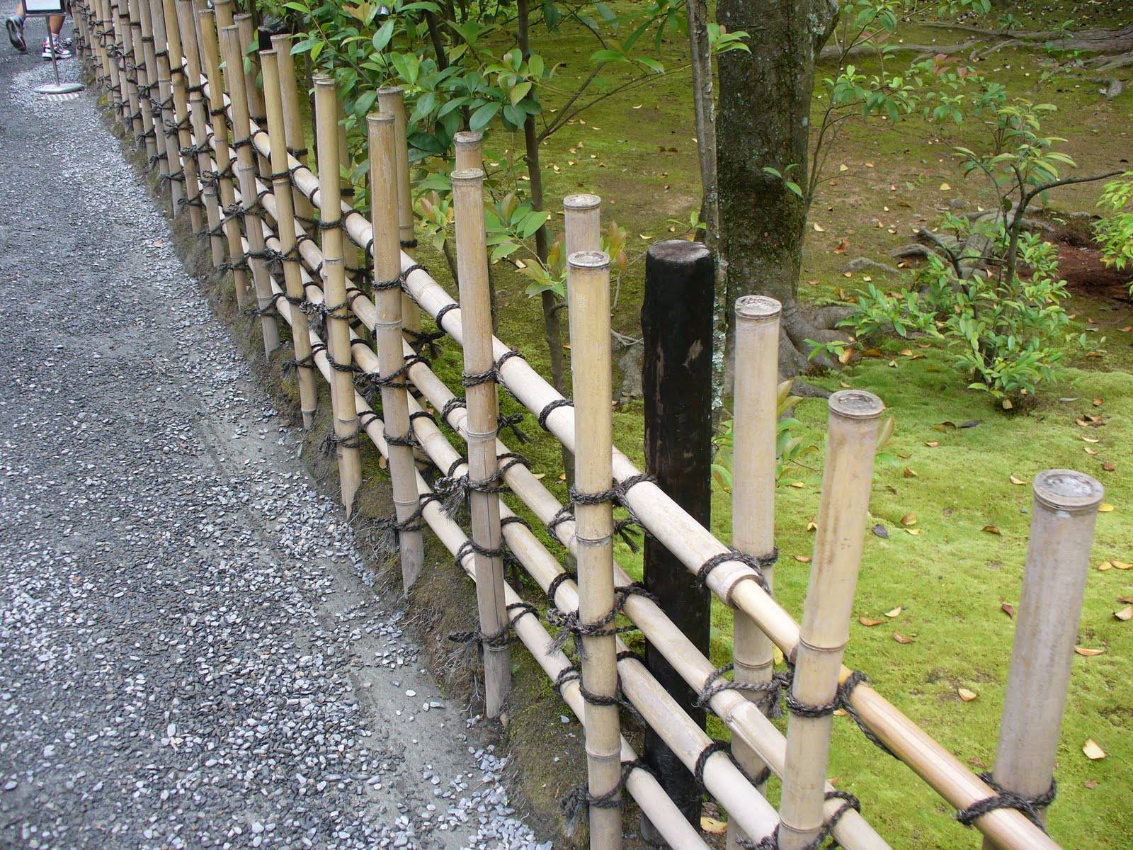 Забор из бамбука своими руками: фото, видео - читайте тут