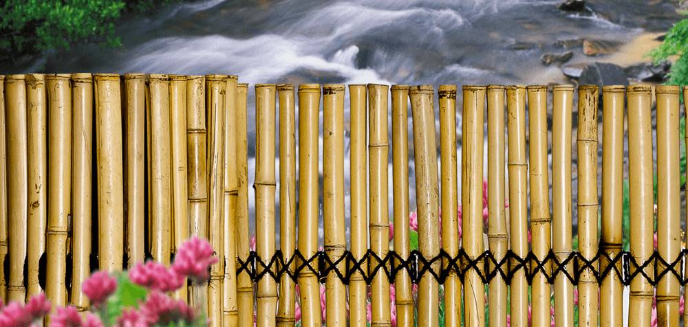 Забор из бамбука рулонный, панельный и шестовой