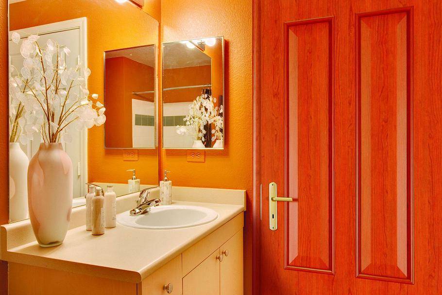 Выбор стеклянных дверей для ванной и туалета: фото