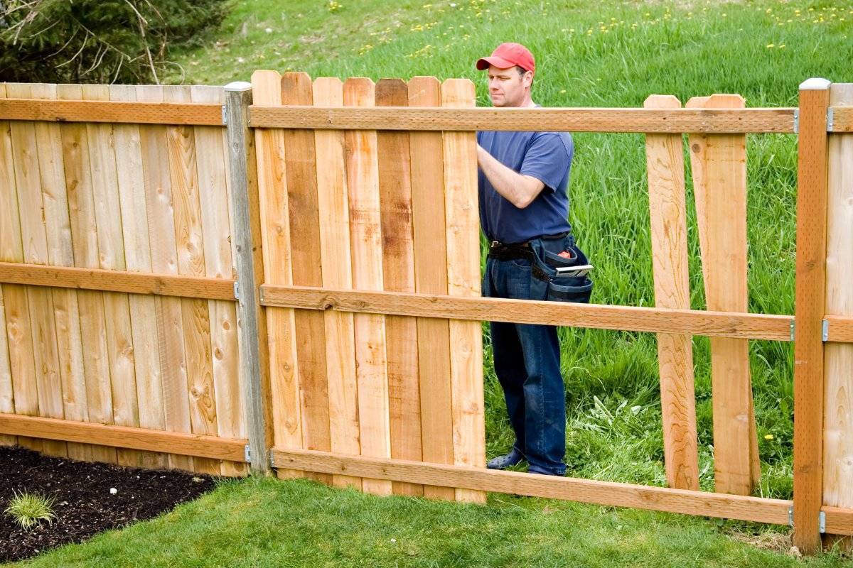 Забор как украшение участка: на зависть соседям