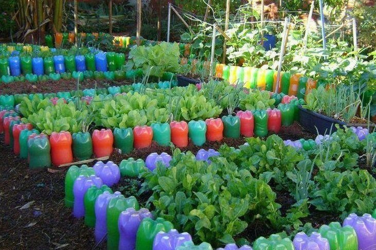 Грядки из пластиковых бутылок для сада и огорода фото и описание