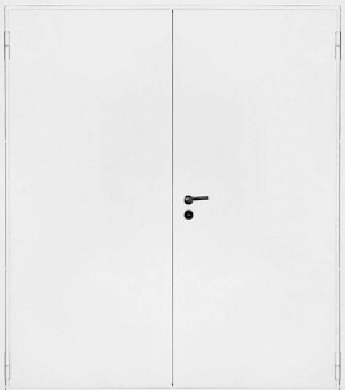 Описание конструкции: двупольная дверь