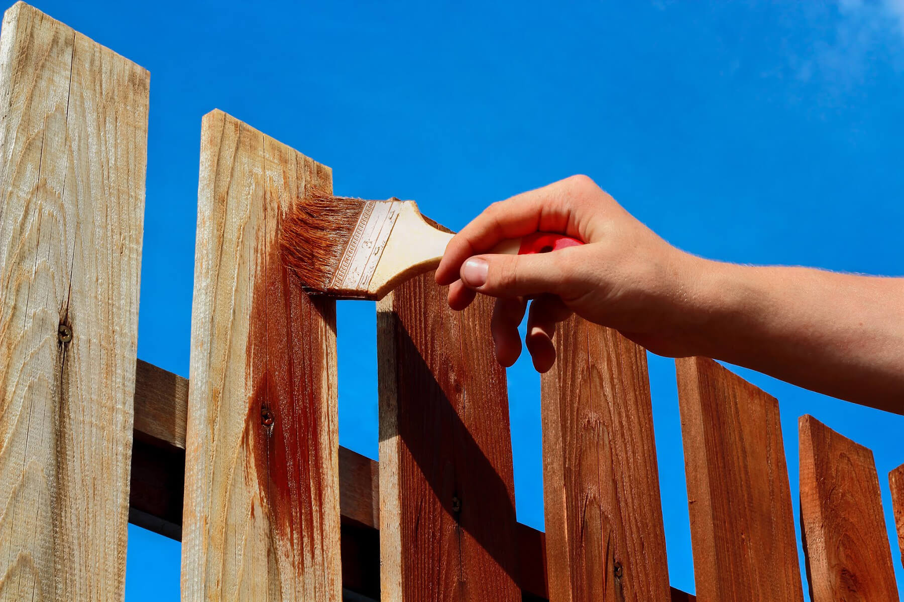 Деревянный забор: покраска надолго, как и какой краской