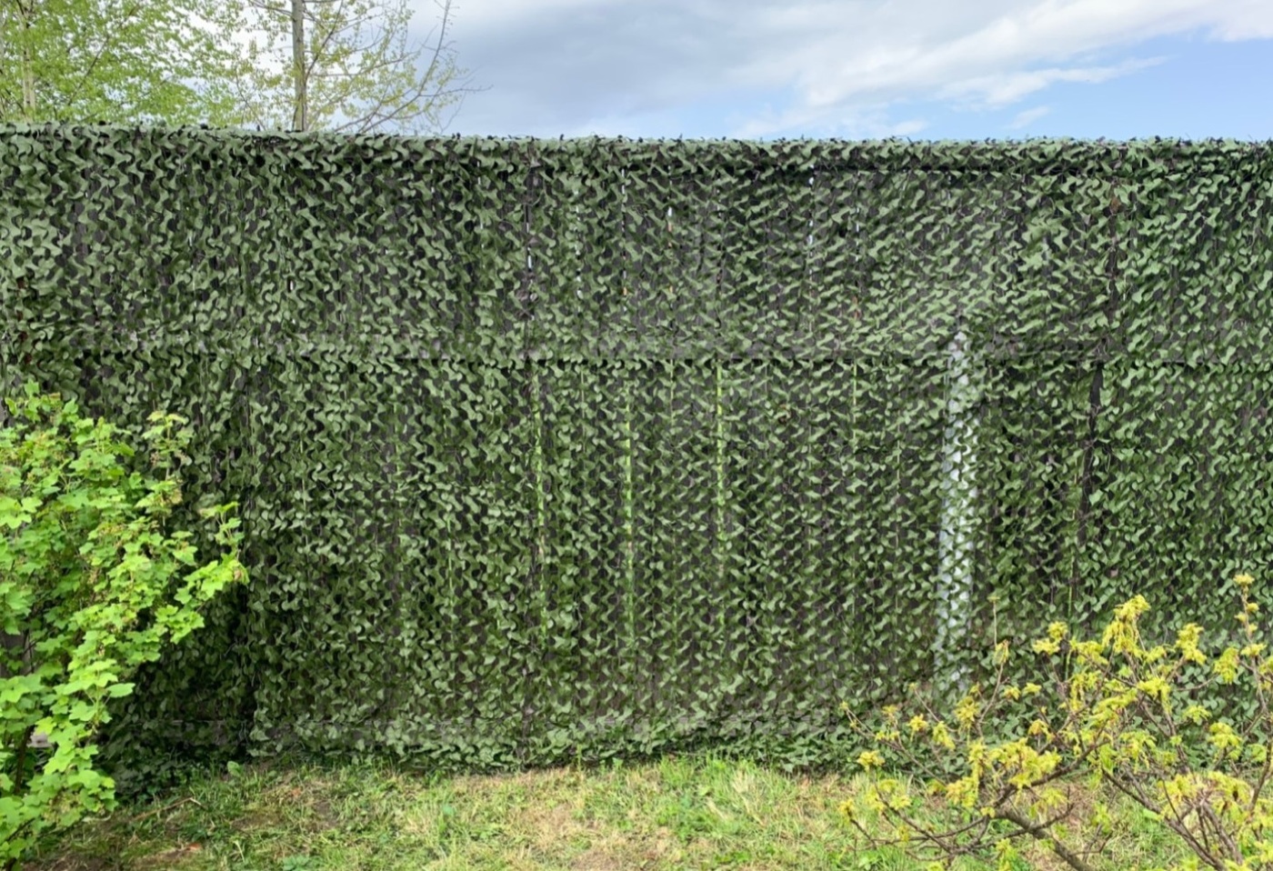 Как задекорировать забор из сетки рабицы? украшаем забор из сетки рабица – 8 вариантов