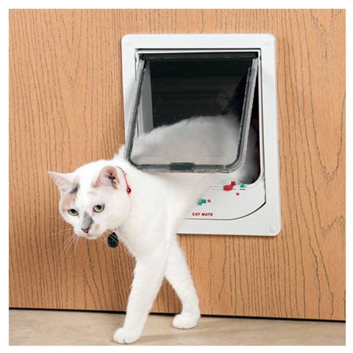 Для самостоятельных кошек: мастерим дверцу для питомца