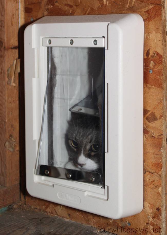 Дверка для кошек в дверь своими руками: автоматическая, межкомнатная