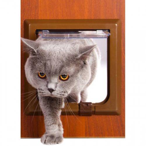 Что нужно знать про двери для кошек.