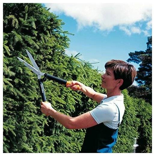 Садовые ножницы: как выбрать помощника для стрижки кустов и газонной травы