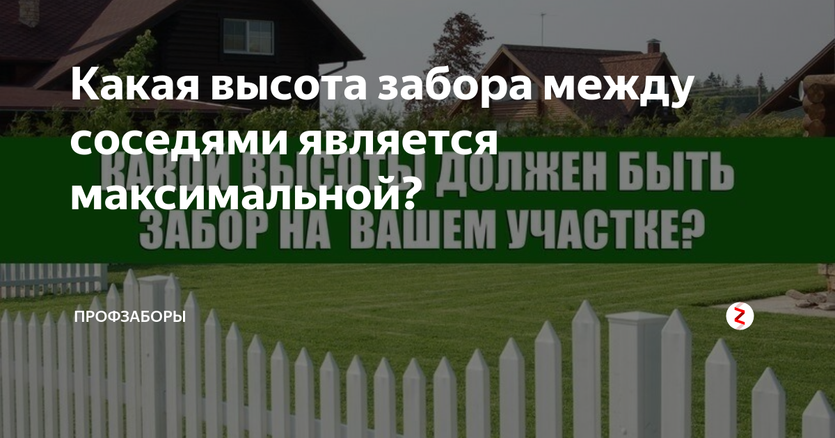 Можно ли поставить глухой забор между соседями в частном доме: есть интересное решение