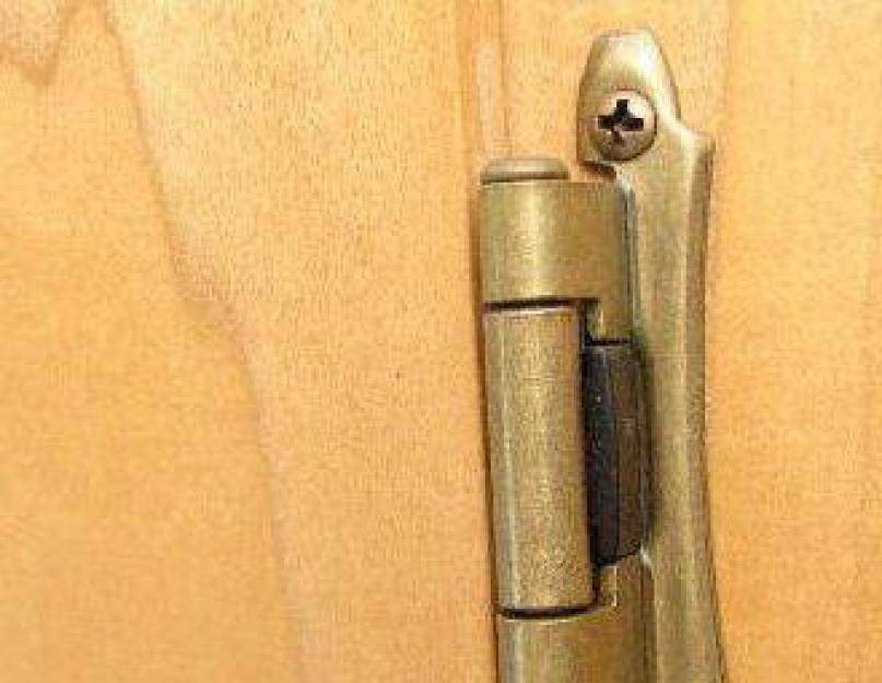 Как выбрать петли для металлических входных дверей: профессиональные советы