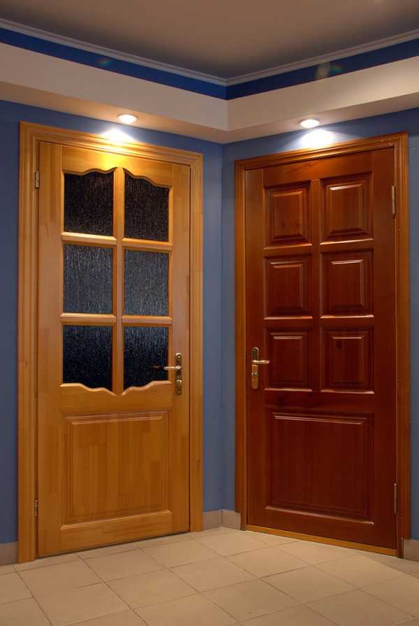 Межкомнатные двери материалы изготовления плюсы и минусы - всё о межкомнатных и входных дверях